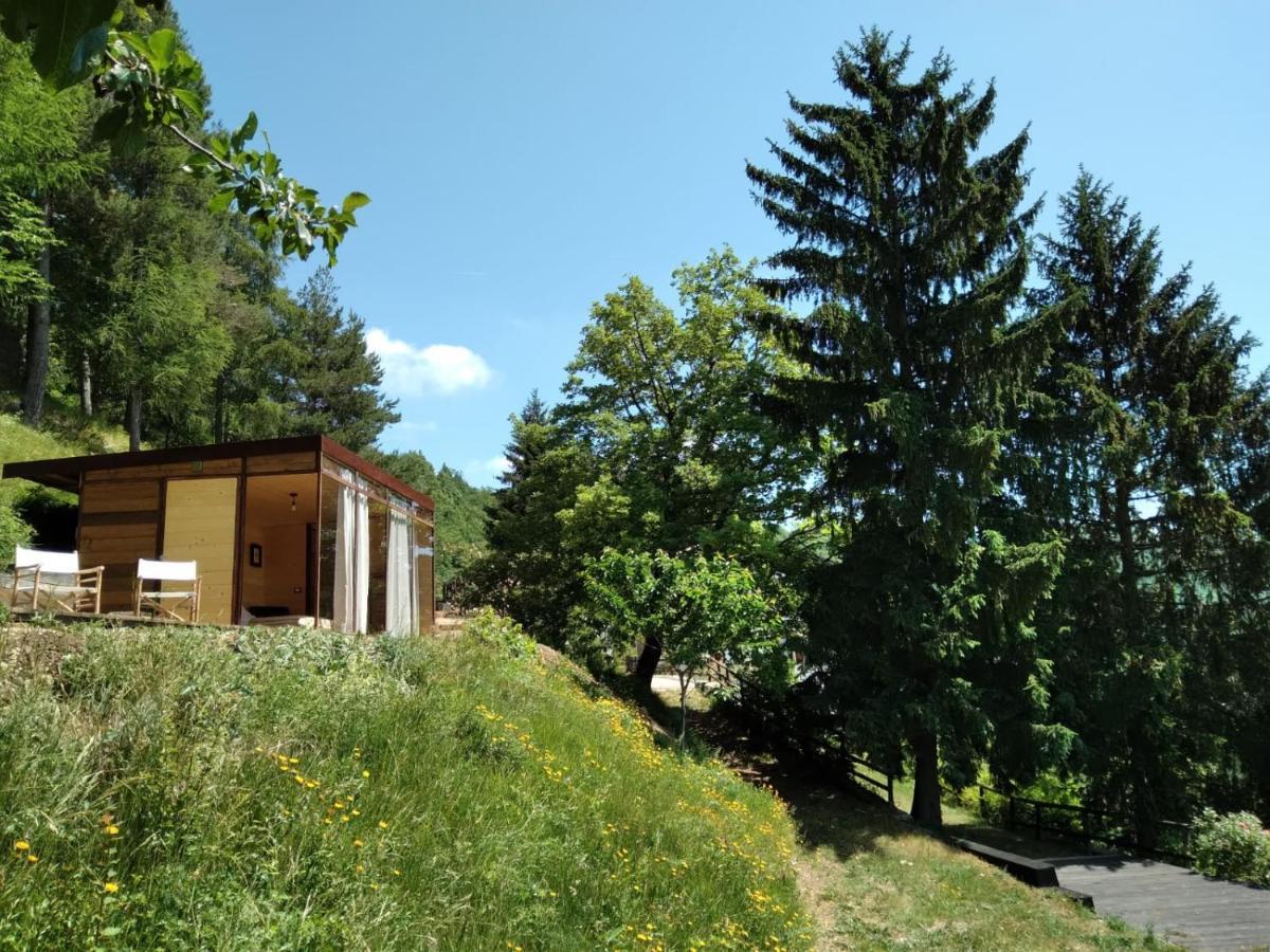 Prepotto  Suxen Nature Experience - Lodge Con Vista Panoramica المظهر الخارجي الصورة